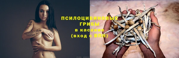 сатива Абдулино