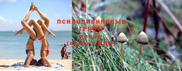 сатива Абдулино