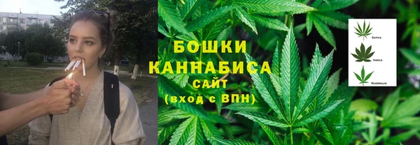 сатива Абдулино