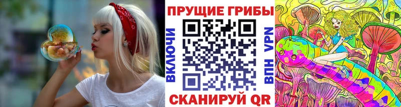 Псилоцибиновые грибы Psilocybe  сколько стоит  Усмань 