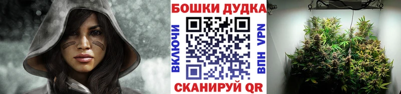 как найти   Усмань  Бошки марихуана Amnesia 